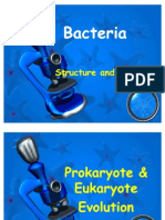 Chapter 20 - Bacteria Lecture