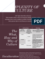 Complexity of Culture