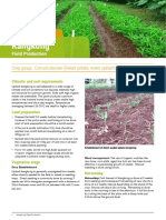 Philippines-Factsheet Kangkong Field English PDF