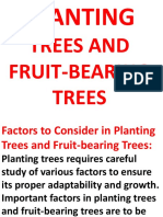 Planting: Trees and Fruit-Bearing Trees