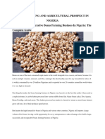 Beans Farming and Agricultural Prospect in Nigeria