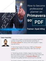 Professional Planner On Primavera