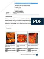 Informe N°°2 - Chalecos