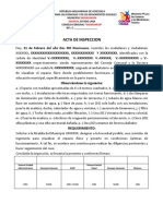 Formato Acta de Inspeccion Consejo Comunal