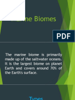 Marine Biomes