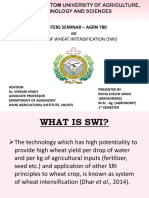 System of Wheat Intensification