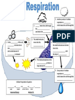 Cellular Respiration Flowchart