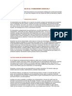 Qué Es El Chamanismo Esencial PDF