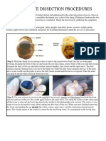 Sheep Eye Dissection.190121501 PDF