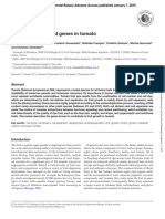 Fruit Growth-Related Genes in Tomato