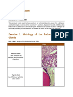 Lab Report Assistant Endocrine System