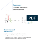 Protease Opt Opt1