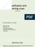 Classification and Naming Crops