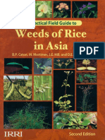 Weeds of Rice in Asia PDF