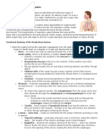 Chapter 13 The Respiratory System