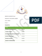 Inb 302 Final Report PDF