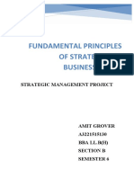 Fundamental Principles of Strategy and Business Policy: Strategic Management Project