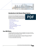 DNS User Guide Chapter 00