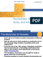 Nucleotides, Nucleic Acids, and Heredity: Bettelheim / Brown / Campbell / Farrell / Torres