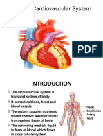 Cardiac Vascular System