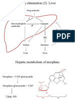 025b Metabolism