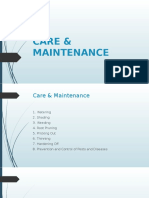 Care & Maintenance