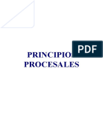 Principios Procesales