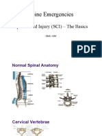 Spine Emergencies: Spinal Cord Injury (SCI) - The Basics