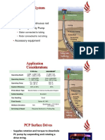 PCP PDF