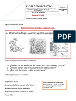 Semana 21 y 22 Diferentes Formas de Cuidar y Respetar La Vida.