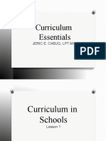 Chapter 1 Curriculum Essentials