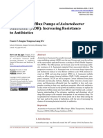 Mechanisms Efflux Pumps of Acinetobacter To Antibiotics: Baumannii (MDR) : Increasing Resistance