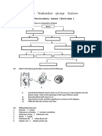 WS On Circulatory System PDF