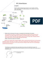 My Copy HW Proteins Enzymes