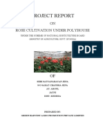 Project Report: ON Rose Cultivation Under Polyhouse