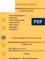 U-2 Protozoarios