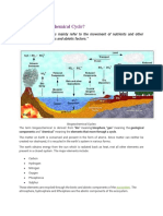 What Is A Biogeochemical Cycle?