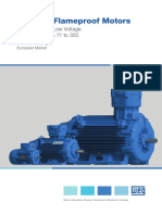 W22Xdb Flameproof Motors: High Efficiency Low Voltage IEC Frame Sizes 71 To 355