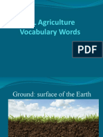 ESL Agriculture Vocabulary Words