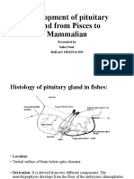 Development of Pituitary Gland From Pices To Mammalians