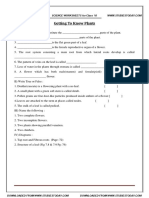 CBSE Class 6 Worksheet - Getting To Know Plants