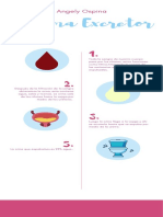 Infografía Sistema Excretor