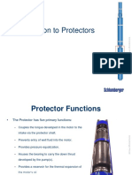 Introduction To Protectors