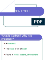 Carbon Cycle PowerPoint