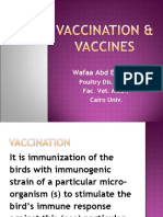 Wafaa Abd El-Ghany: Poultry Dis. Dept., Fac. Vet. Med., Cairo Univ