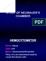 RBC WBC Nebuer Chambar