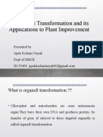 Chloroplast Transformation and Its Applications To Plant Improvement