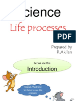 Science: Life Processes