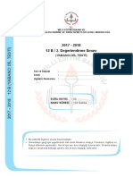 2017 - 2018 12 B / 2. Değerlendirme Sınavı: (Yabanci Dil Testi)