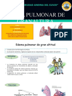 Edema de Pulmon de Gran Altitud